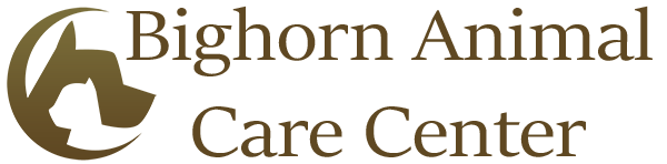 Bighorn Animal Care Center